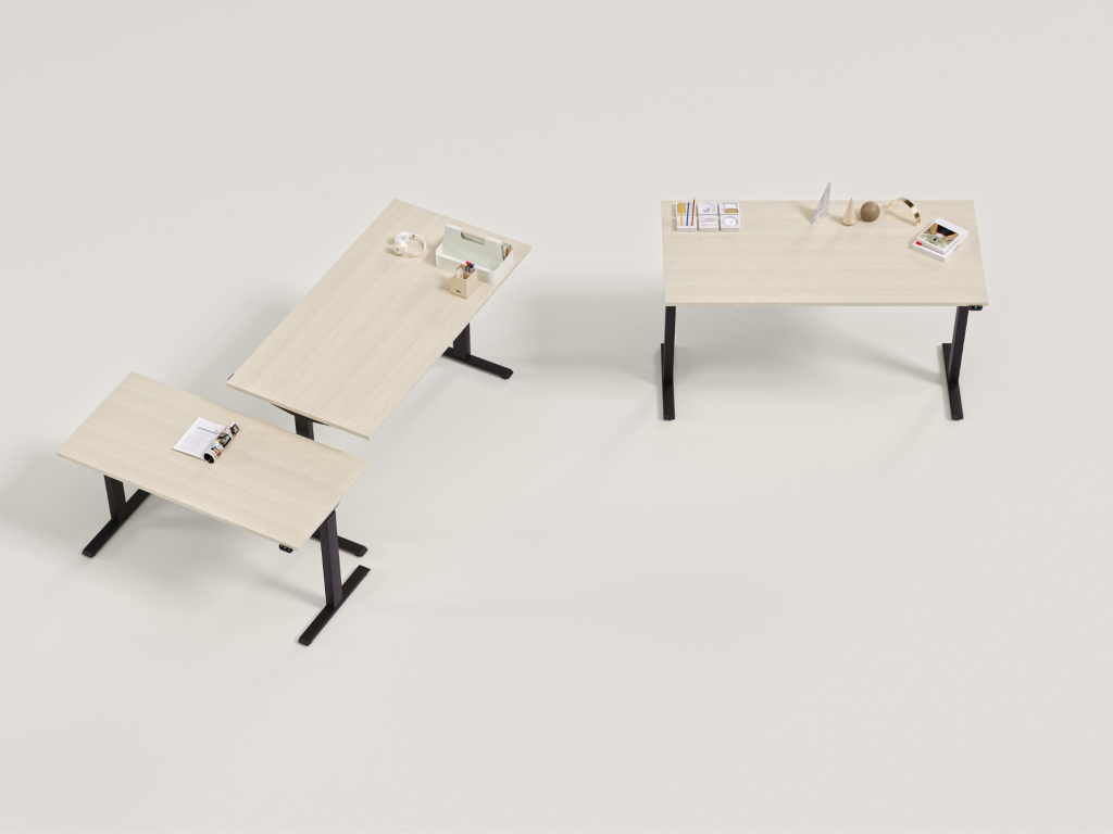 Birouri Reglabile Electric eComo