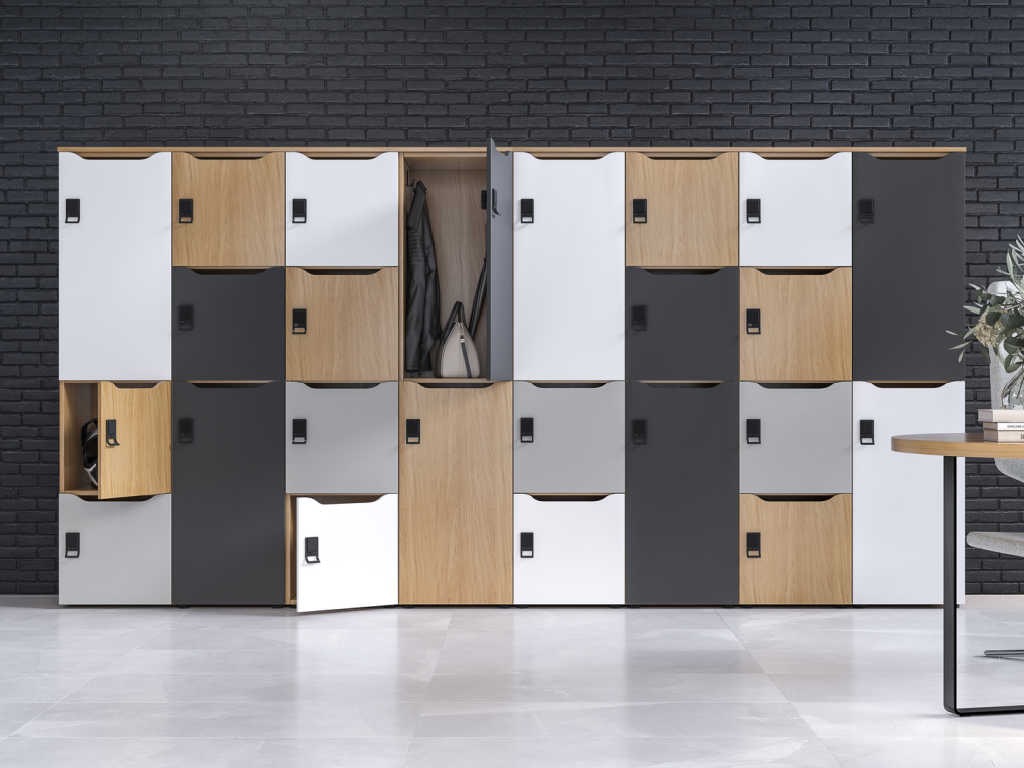 Dulapuri Locker Choice