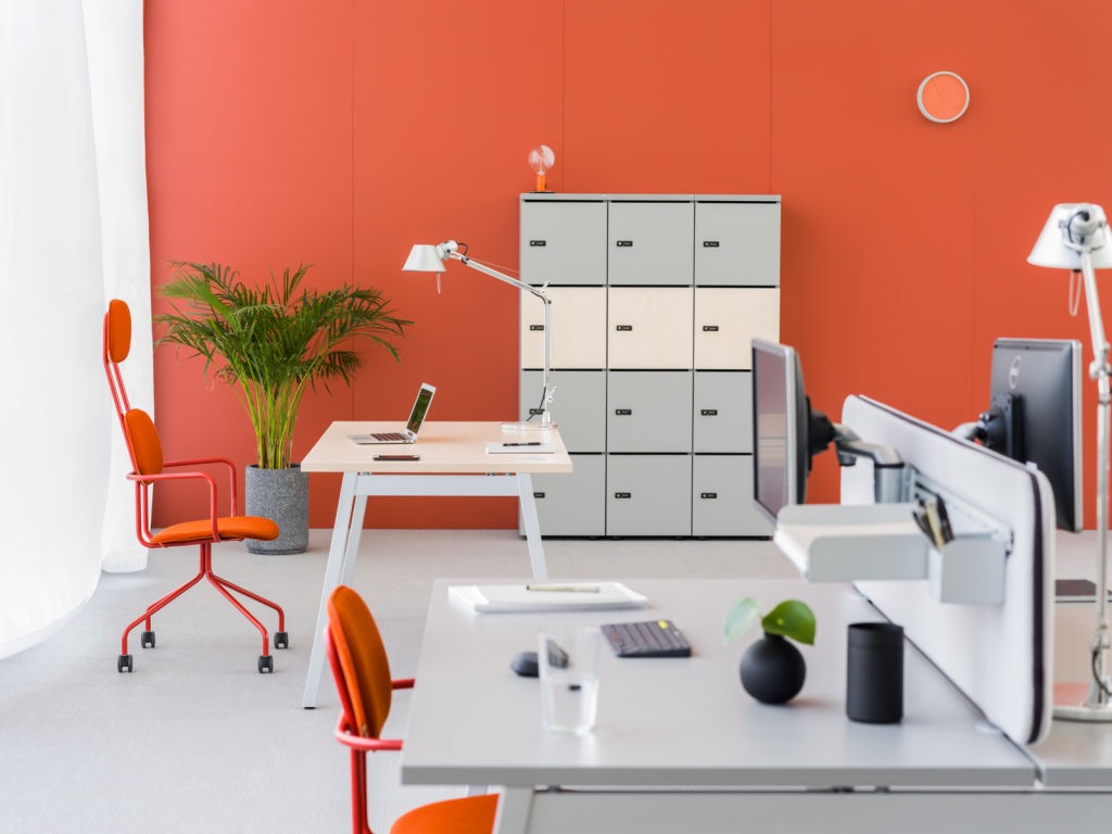 Dulapuri Locker Standard