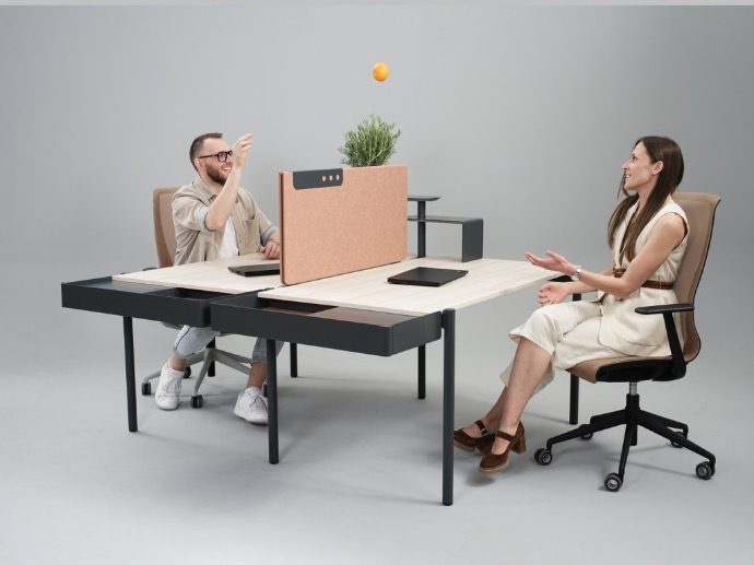 Birouri operationale ZEDO