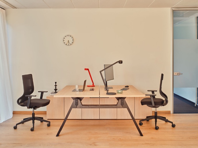 Birouri operationale VIGA