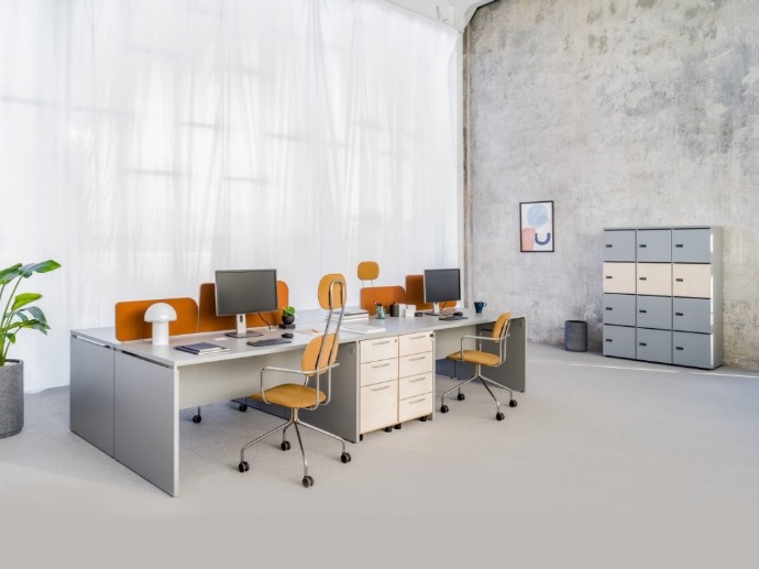 Dulap depozitare office BASIC