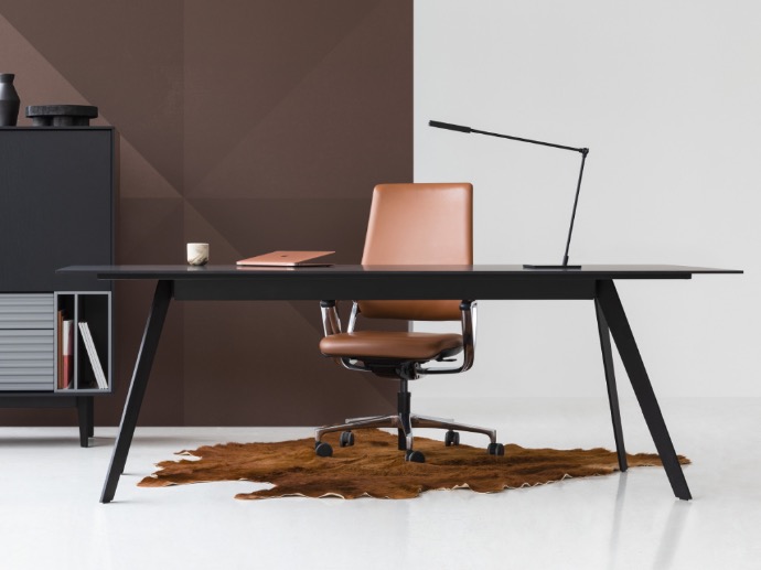 Birou Managerial DIGNIS