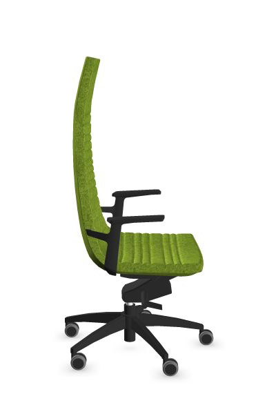 Scaun Directorial North Cape L BR - 3-2.jpg