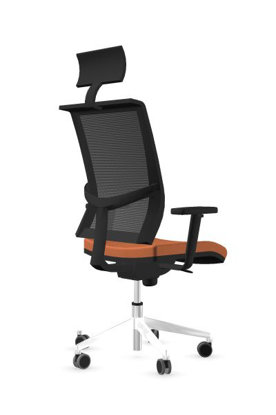 Scaun Directorial Eva.II - 24.jpg