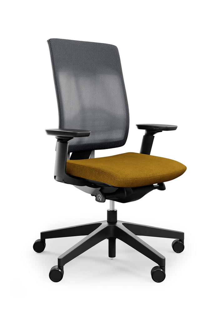 Scaun de birou Xenon Net 100 - 4 Large.webp