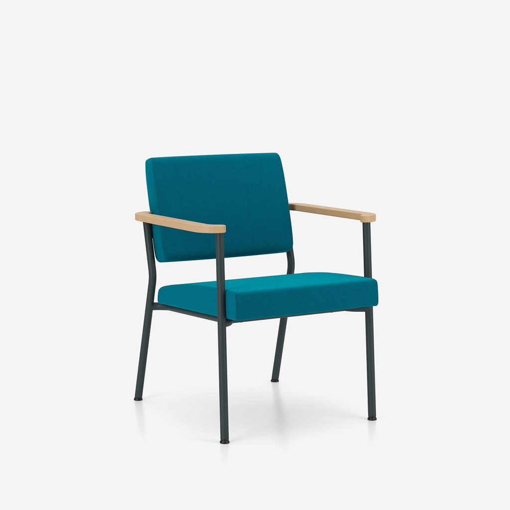 Fotoliu de Așteptare Zone Armchair - 10.webp