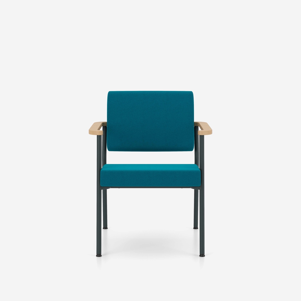 Fotoliu de Așteptare Zone Armchair - 9.webp