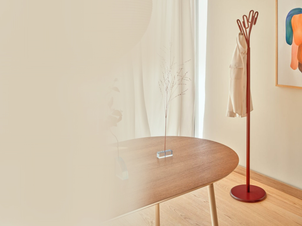 Cuier Haine Clip - 1024x768 - 1.jpg