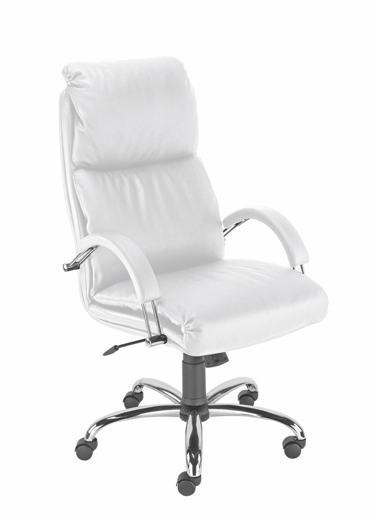 Scaun directorial Nadir Steel - 2.jpeg