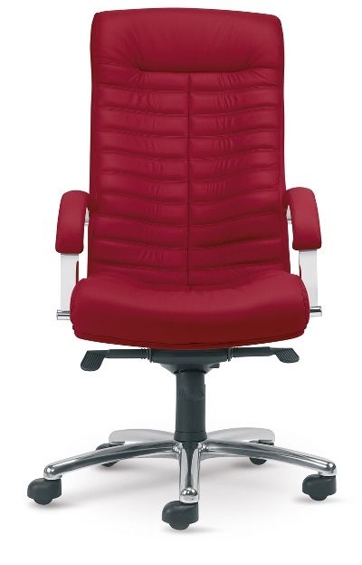 Scaun directorial Orion - 3.jpeg