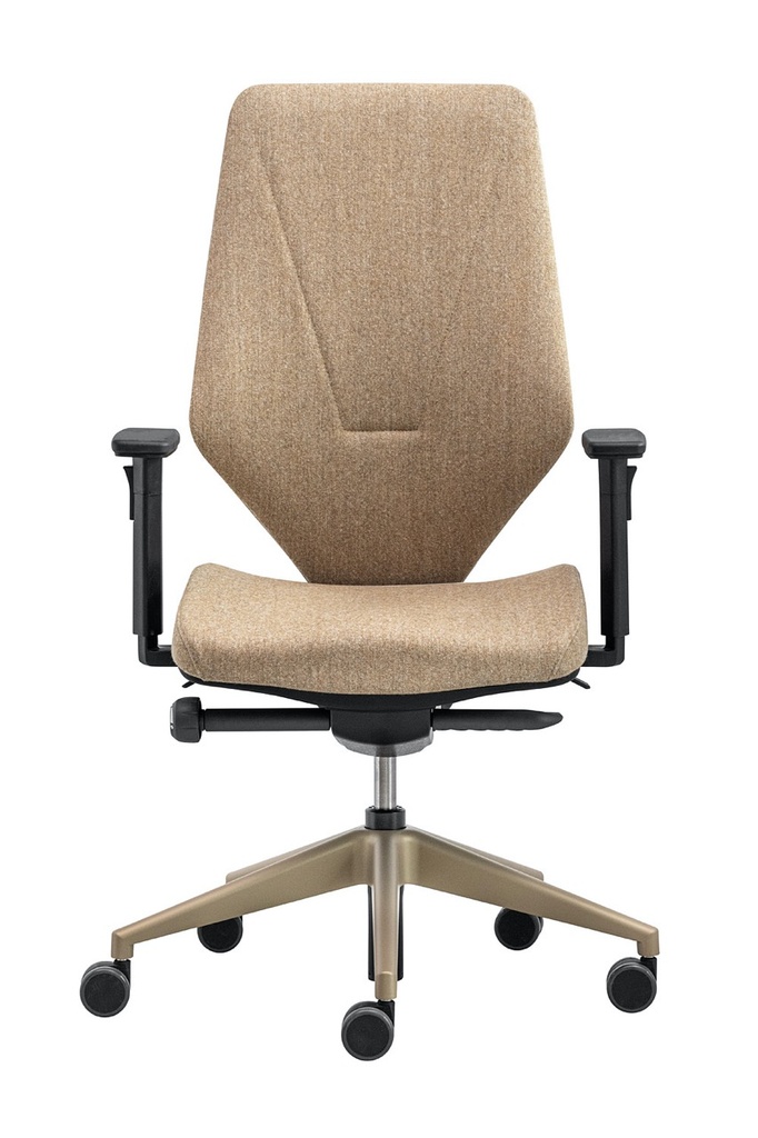 Scaun de Birou V6 Fully Upholstered Black - 1 Large.jpeg