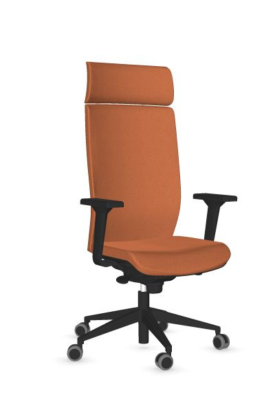 Scaun Directorial Aura - 36-2.jpg