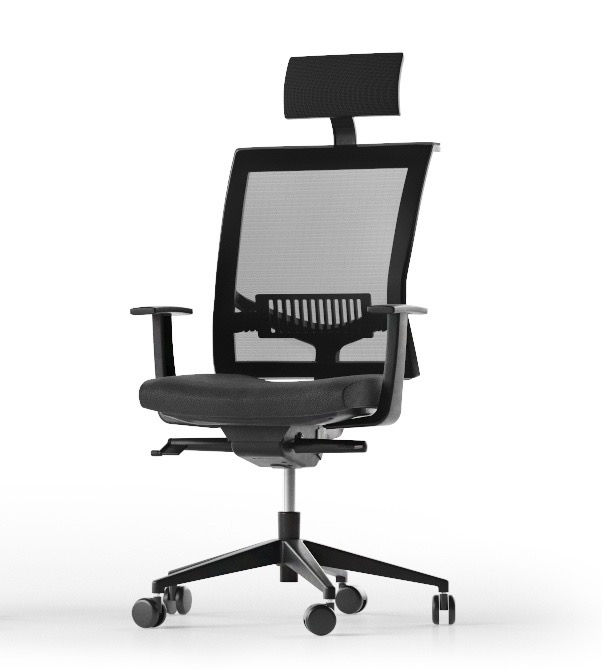 Scaun Directorial Eva.II