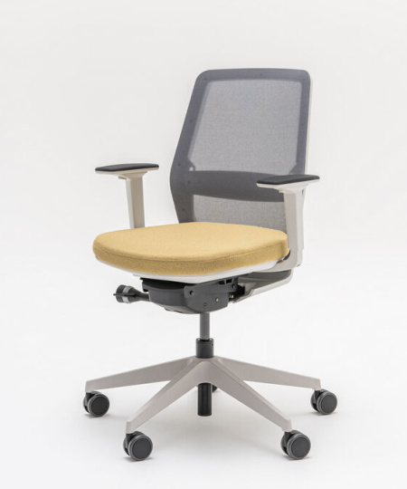 Scaun de Birou Evo 01