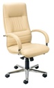 Scaun Directorial Linea