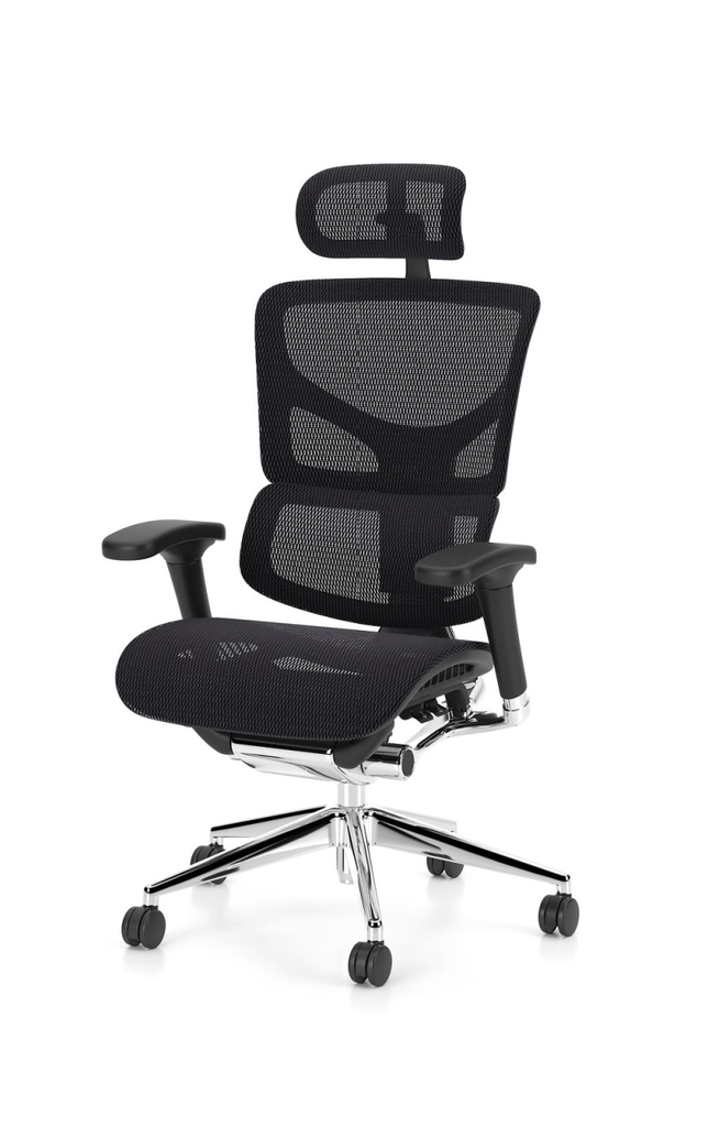 Scaun Ergonomic Enjoy