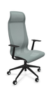 Scaun Directorial D-Chair Black