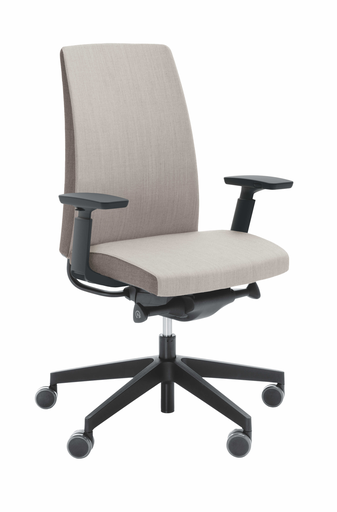 Scaun de Birou Motto 10S