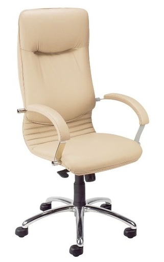 Scaun Directorial Nova