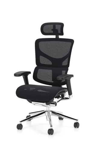 Scaun Ergonomic Enjoy